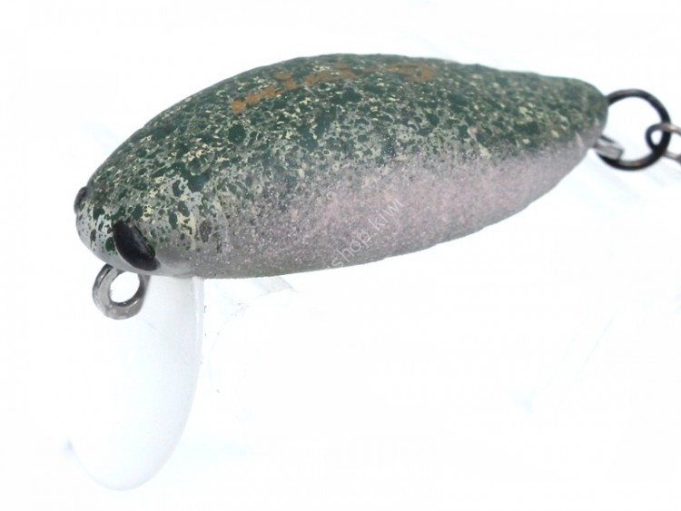 OFFICE EUCALYPTUS x TACKLE HOUSE Elfin Mini Cicada F #07 Kei Algae