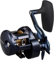 DAIWA 25 Saltiga 300L