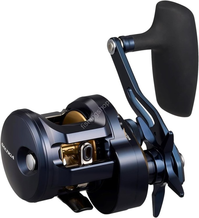 DAIWA 25 Saltiga 300L