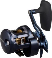 DAIWA 25 Saltiga 300L