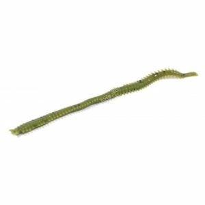 MARUKYU Power Isome (Thin) Blue Palolo Worm
