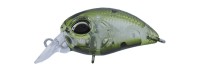 VALKEIN Haze MD #C045 Core Green