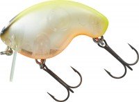DAIWA Dai Fuku Zero #Chart Back BN