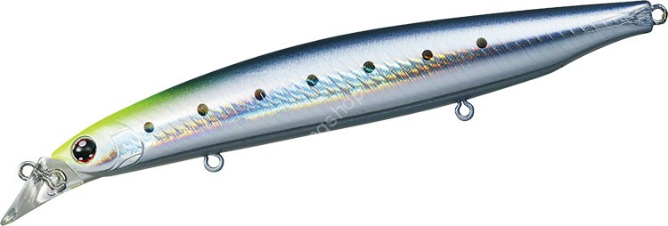 DAIWA Shore Line Shiner Z Vertice R 125S # Adel Chart Head Iwashi