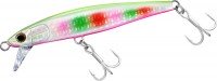 DAIWA Sawarash 110HS #Sawara Fuyajyo