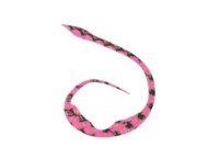 START Silicone Necktie Magical Jr. #31 粉红斑马 (3个)