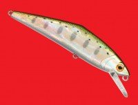 SMITH D-Contact 85 Awabi # 01 Yamame Awabi