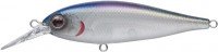 EVERGREEN Bank Shad # 366 MS Shad