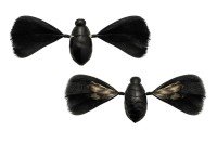 JACKALL Need Cicada #Super Black