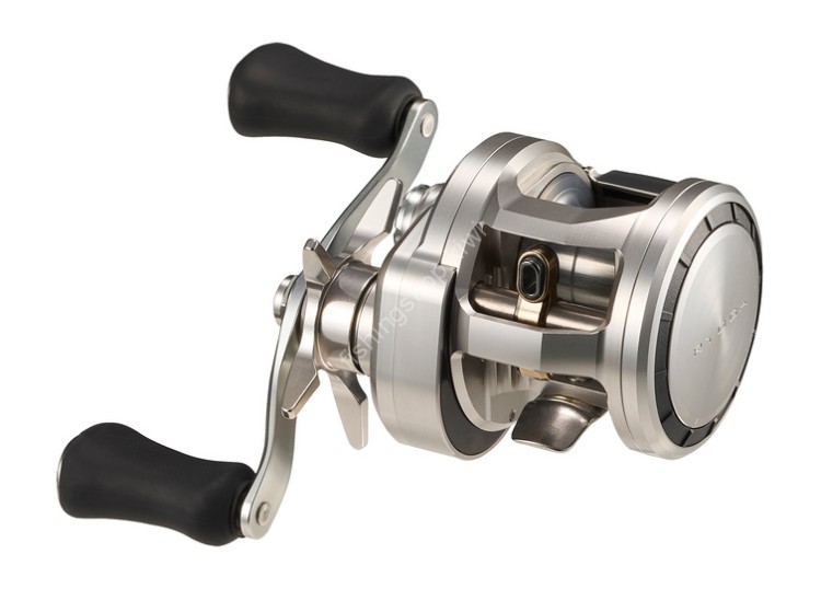 DAIWA 26 Ryoga SV 100P