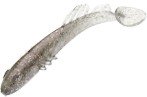 BAIT BREATH BeTanCo Slim Shad Tail 3 8pc S852 Ezo Chika