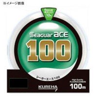 KUREHA Seaguar Ace [Clear] 100m #4 (4.9kg)