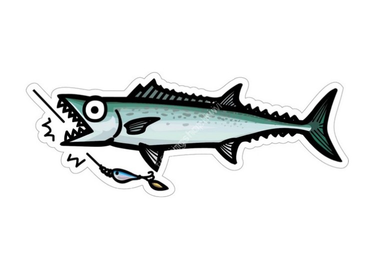 OTHER BRANDS HISAO DESIGN Sawara Sticker