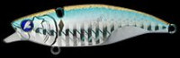Blue Blue Narage 65 No.23 Boshu Horse mackerel