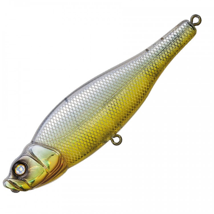 WHIPLASH FACTORY Spittin Wire SW SS12RHG Gold Blly Shiner