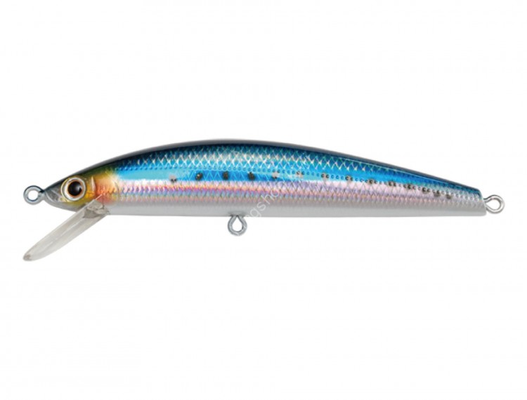 JACKSON Pintail Tune 27 NIW Raw Sardine