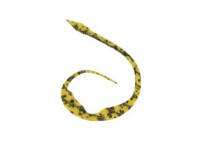 START Silicone Necktie Magical Jr. #32 黄色斑马 (3个)