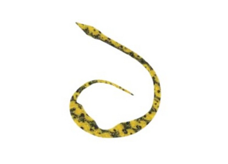 START Silicone Necktie Magical Jr. #32 黄色斑马 (3个)