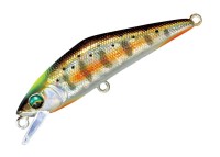 SMITH D-Contact 63 #48 Adult Yamame