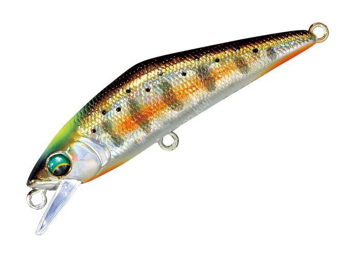 SMITH D-Contact 63 #48 Adult Yamame