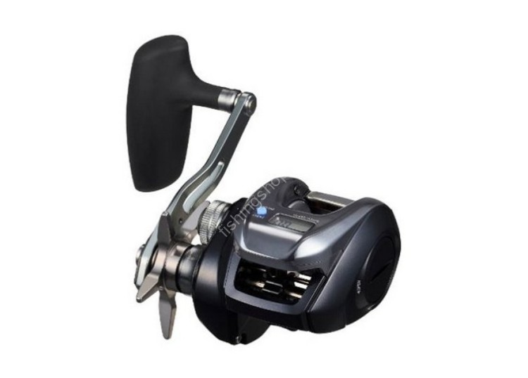 DAIWA 25 Tierra IC 300H-C Reels buy at Fishingshop.kiwi