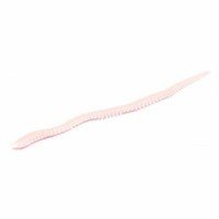 MARUKYU Power Isome (Thin) Sakura Palolo Worm Luminous