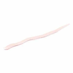 MARUKYU Power Isome (Thin) Sakura Palolo Worm Luminous