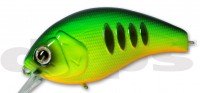 DEPS Korrigan Magnum 250 #41 Dot Tiger