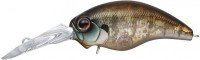 EVERGREEN Wildhunch #246 Juvenile Gill