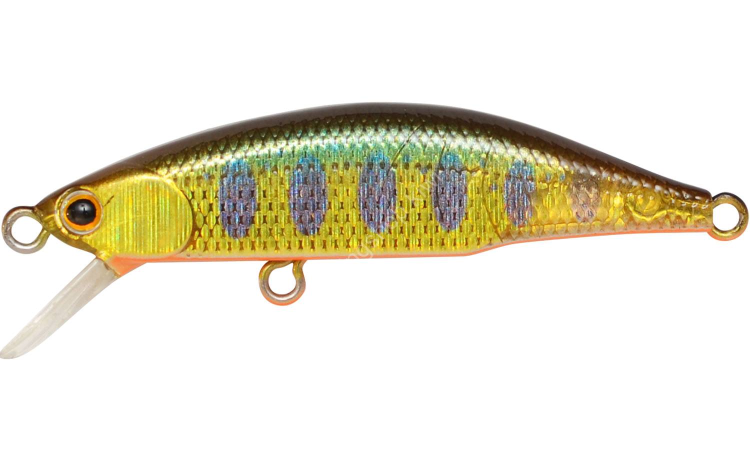 JACKSON Meteora 45 SKY Kinyama Lures buy at Fishingshop.kiwi