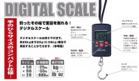 BASIC GEAR Digital Scale