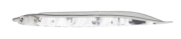 FISH ARROW Flash-J Shirasu SW 3 #110