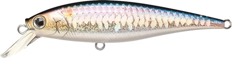 LUCKY CRAFT Pointer 78SP #MS American Shad