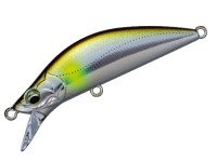 MAJOR CRAFT Eden 60H # 007 Plated Ayu