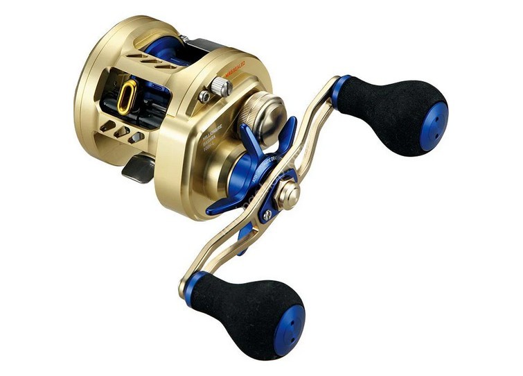 DAIWA BASARA100