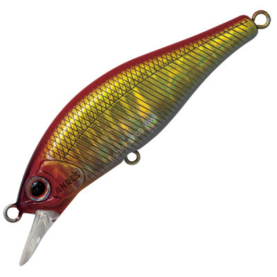 ANGLERS REPUBLIC PALMS Alexandra 63HW # A-105 Abalone Summer Beetle