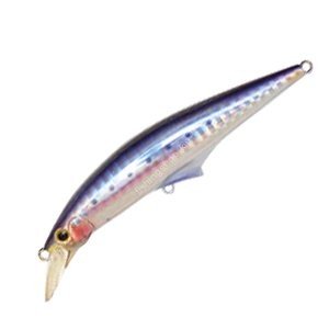 JACKSON G-Control 28g GNR Silver Powder Sardine