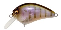 MEGABASS IXI Blowly #Gillkko