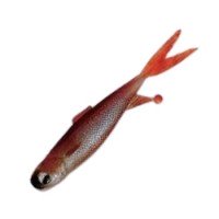 SIGNAL Multi Shad 4" 05 Red Shad