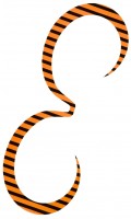 SHIMANO ED-X01U Engetsu Strong Curly #010 Zebra Orange