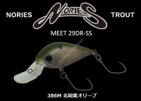 NORIES Meet 29DR-SS #386M North Kanto Olive