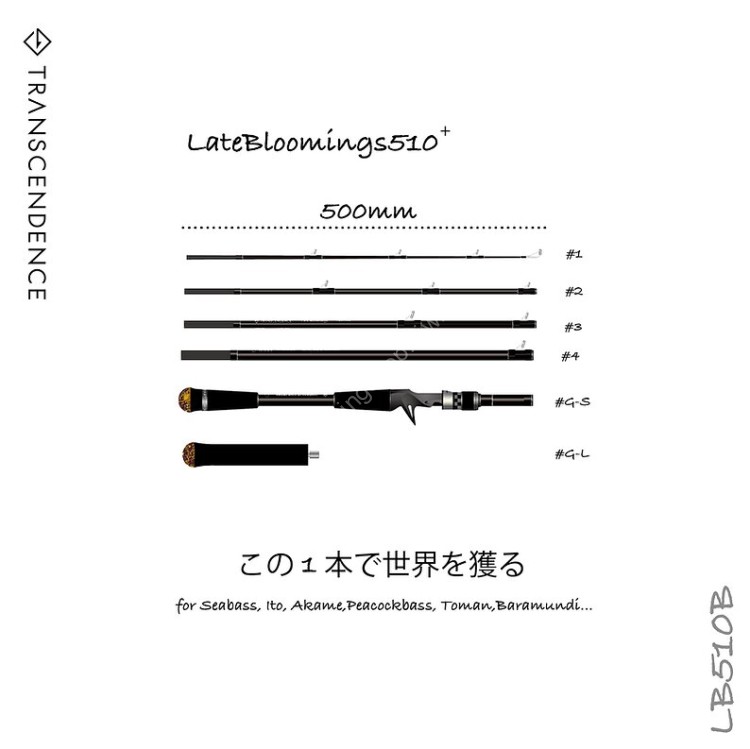 TRANSCENDENCE LateBloomings510