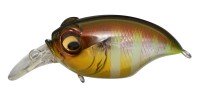 MEGABASS SR-X Griffon 43 # 003 GG Gill