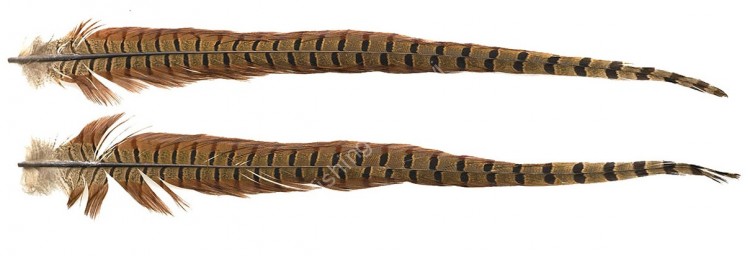TIEMCO NAT.SP Pheasant Tail #48 Natural