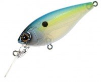 BERKLEY Dex SC63F # SYSSD Sexy Shad