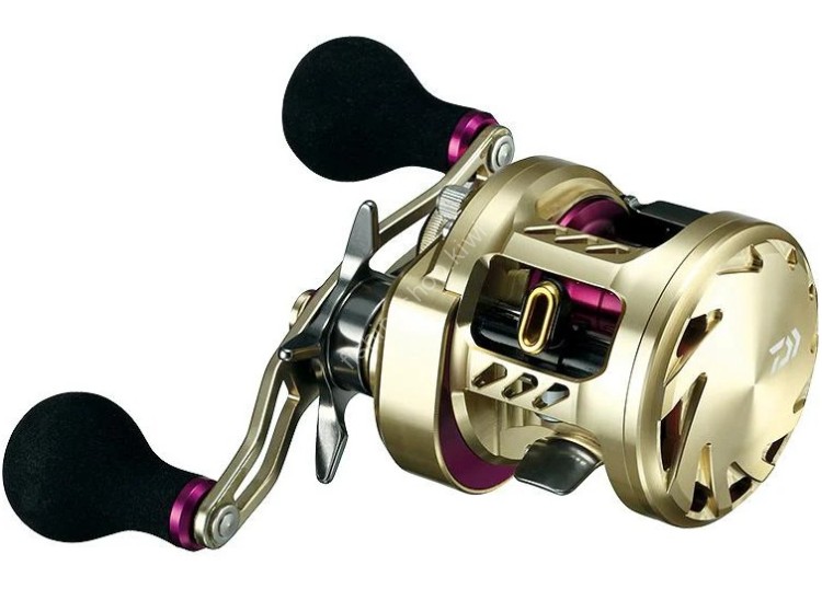 DAIWA Millionaire Basara 100SH