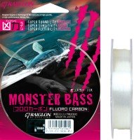 RAIGLON Monster Bass FC [Natural] 100m #1.5 (6lb)