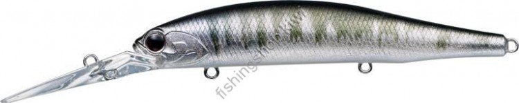 EVERGREEN LB-Roller # 275 Glitter Ketabass