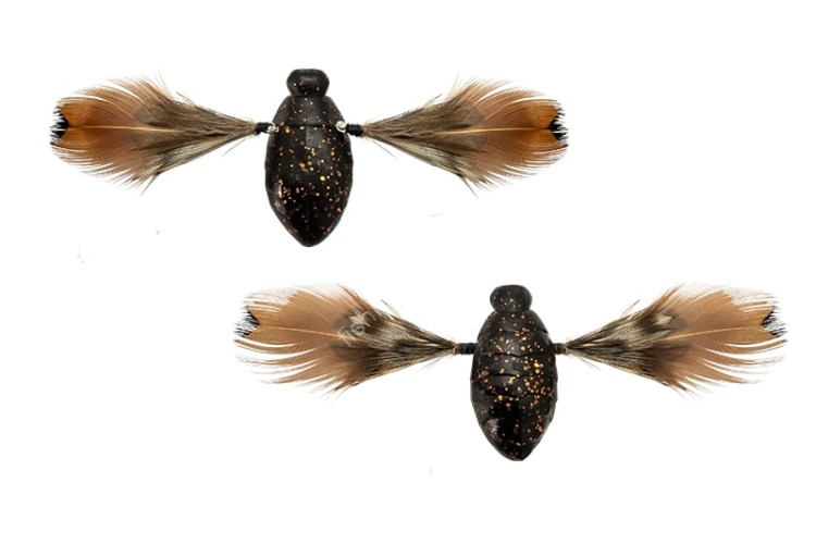 JACKALL Need Cicada #Hibara Black
