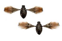 JACKALL Need Cicada #Hibara Black